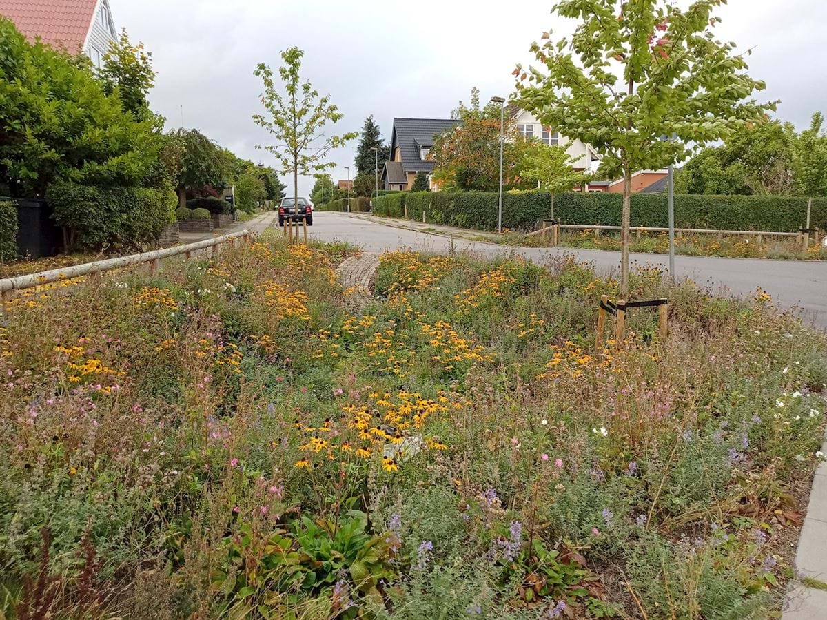 Klima, Viby J, 2021, rasi