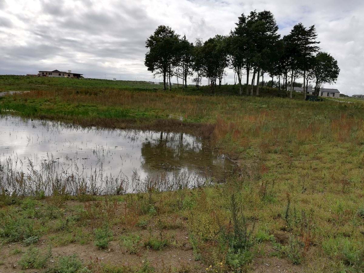 Klima, Provstlund, 2019, rasi