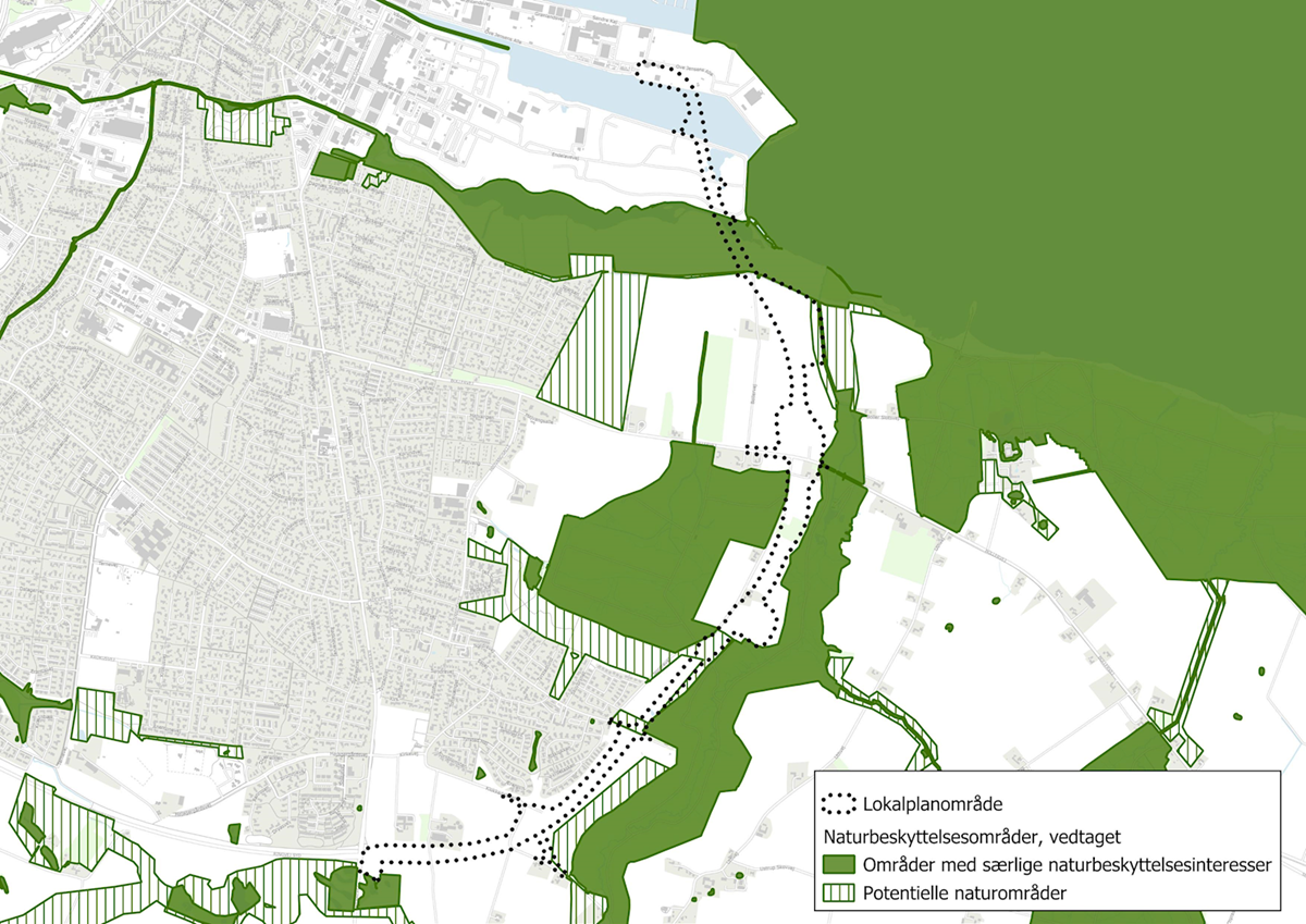 Oversigtskort med kommuneplanens udpegning af områder med særlige naturbeskyttelsesinteresser og potentielle naturområder i forhold til lokalplanområdet.